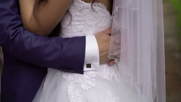 Matrimonio coppia che abbraccia nel parco — Video Stock