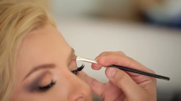 Makeup artist doing makeup — Stock Video