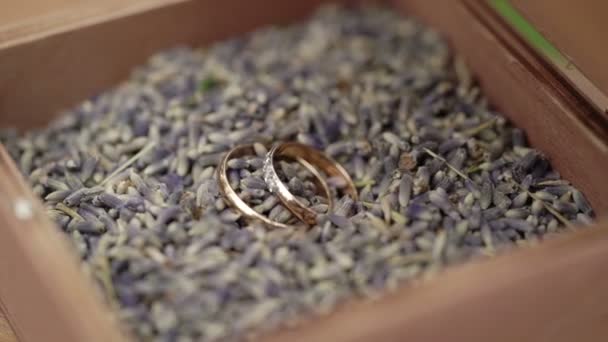 Inele de nuntă într-o cutie — Videoclip de stoc