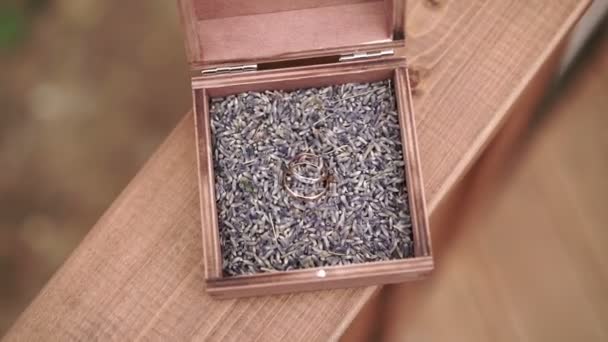 Wedding rings in a box — Stock Video