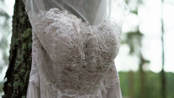 Біла весільна сукня в лісі — стокове відео