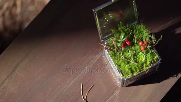 Обручки в красивій коробці з мохом — стокове відео