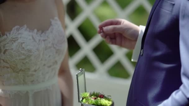 Novio pone en anillo a novia mano en la ceremonia — Vídeos de Stock