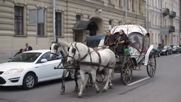 SAINT-PETERSBURG, RÚSSIA - 15 de julho de 2015: Cavalos com carruagem na estrada da cidade — Vídeo de Stock