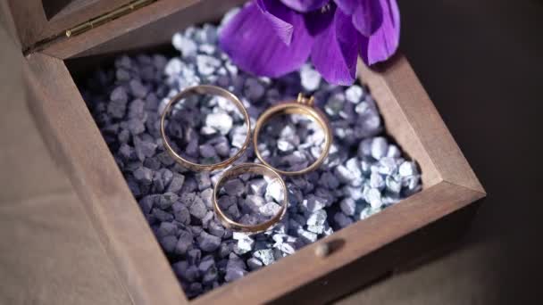 Caja con tres anillos de boda — Vídeos de Stock