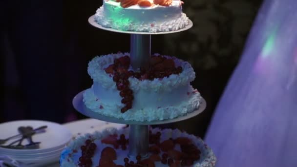 Kue perayaan dengan kembang api — Stok Video