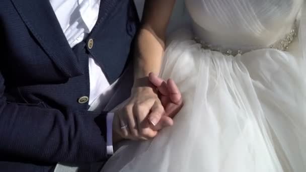 Wedding couple sitting and holding hands — Stock Video