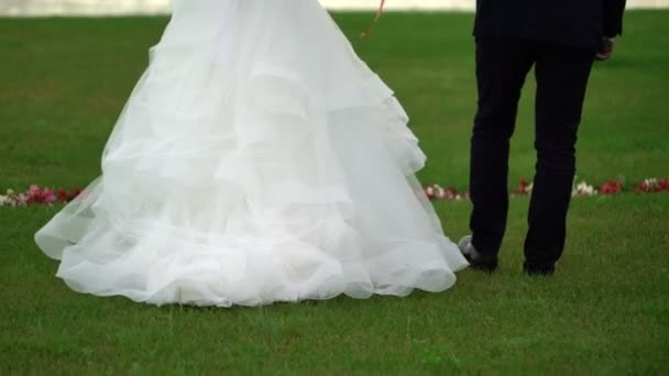 Bruid en bruidegom lopen in het park in de avond — Stockvideo