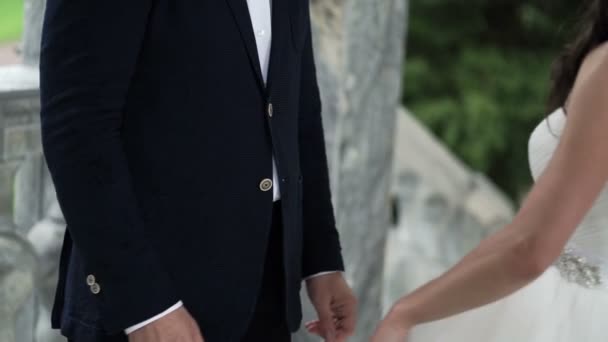 Свадебная пара берётся за руки — стоковое видео