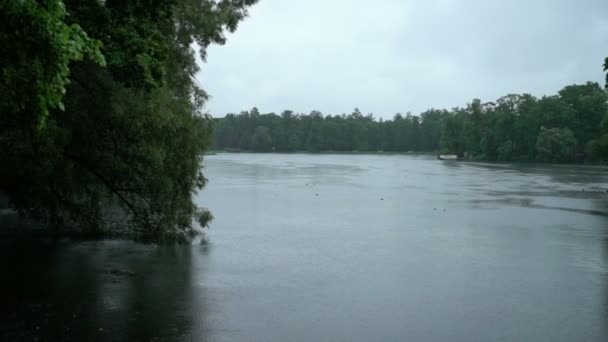 Lago en el parque — Vídeos de Stock