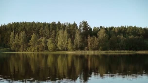 Beautiful lake and forest — Stock Video