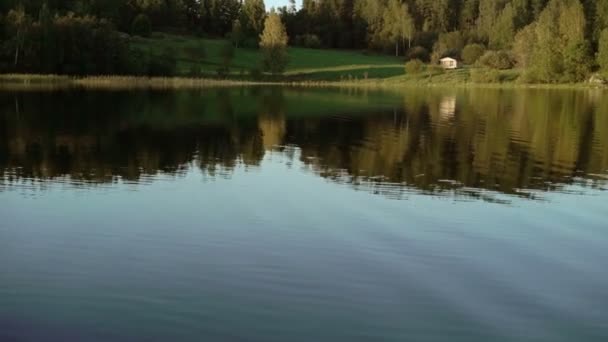 Красиве озеро і ліс — стокове відео