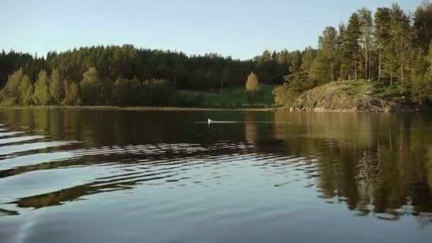 Vackra sjön och skogen — Stockvideo