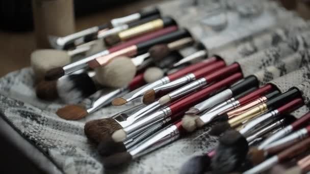 Borstels voor professionele make-up — Stockvideo