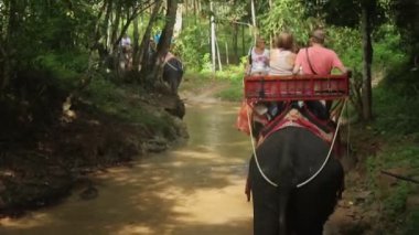 Krabi, Tayland - 22 Aralık 2014: fil sürme insanlar