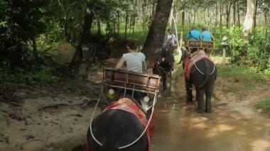 Krabi, Tayland - 22 Aralık 2014: fil sürme insanlar