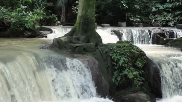 Air terjun di hutan — Stok Video