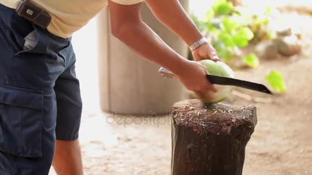 Man with machete hacking coconut — Stock Video