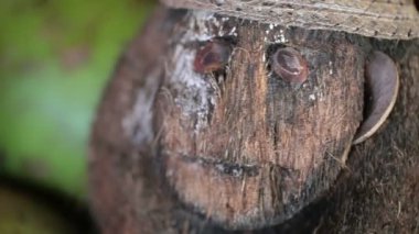 Maymun şekil--dan Hindistan cevizi yapılan