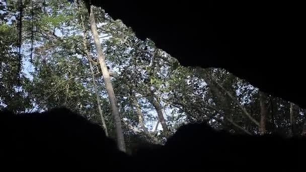 Mağara ağaçlardan görüntüleyin — Stok video
