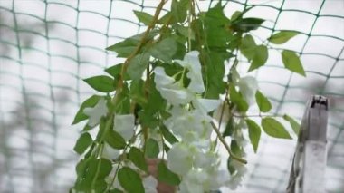 Çiçek sanatçı parti çiçeklerle dekorasyon