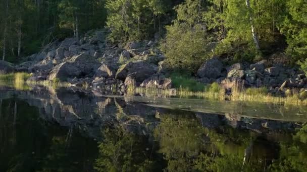 美丽的湖泊和森林 — 图库视频影像