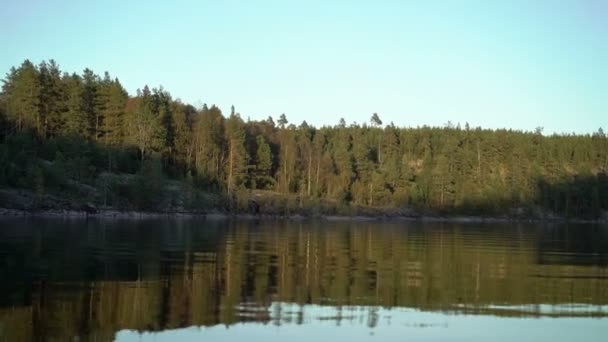 Hermoso lago y bosque — Vídeo de stock