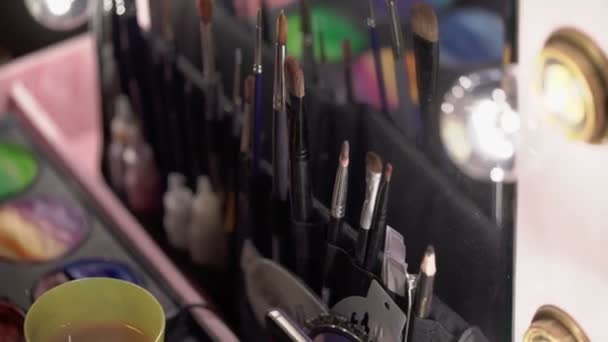 Boyalar ve yüz boyama için fırçalar — Stok video