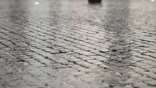 Pessoa caminhando no pavimento na chuva — Vídeo de Stock