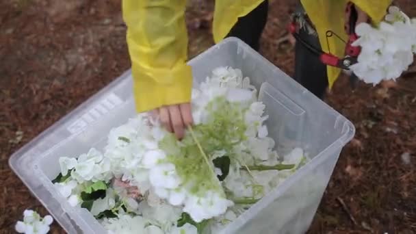 Διακόσμηση γάμου με λουλούδια — Αρχείο Βίντεο