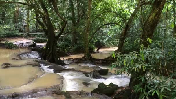 Cascade în pădure — Videoclip de stoc