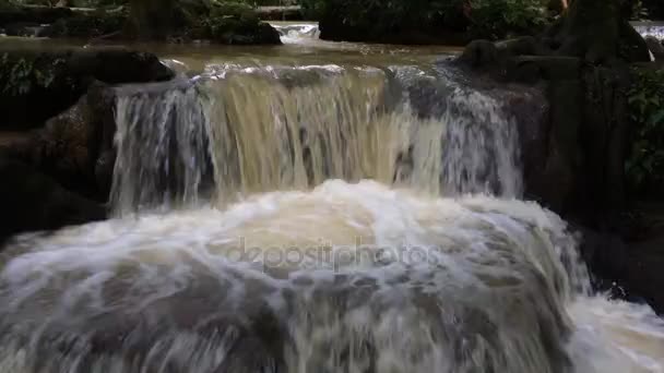 Cachoeiras na floresta — Vídeo de Stock