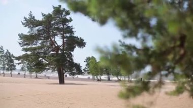 Rüzgarlı bir gün kumsalda