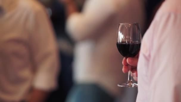 Person with glass of wine — Stock Video