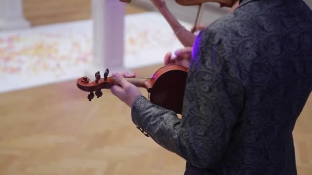 Чоловік грає скрипка — стокове відео