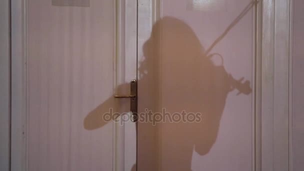 Жінка грає скрипка — стокове відео