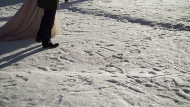 Braut und Bräutigam beim Winterspaziergang im Park — Stockvideo