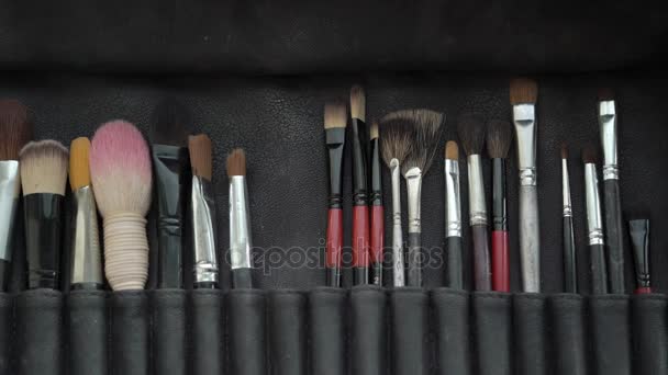 Borstels voor professionele make-up — Stockvideo