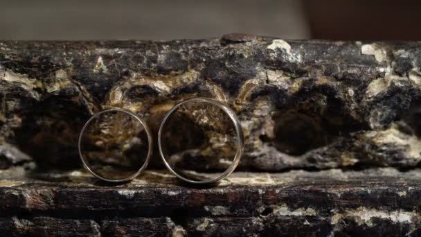 Two wedding rings — Stock Video