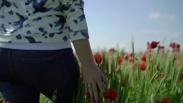 Νεαρή γυναίκα στο χωράφι με τις παπαρούνες — Αρχείο Βίντεο