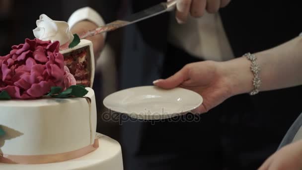 Mempelai wanita dan pria memotong kue pengantin — Stok Video