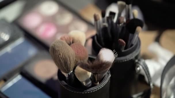 Cepillos de maquillaje profesionales — Vídeo de stock