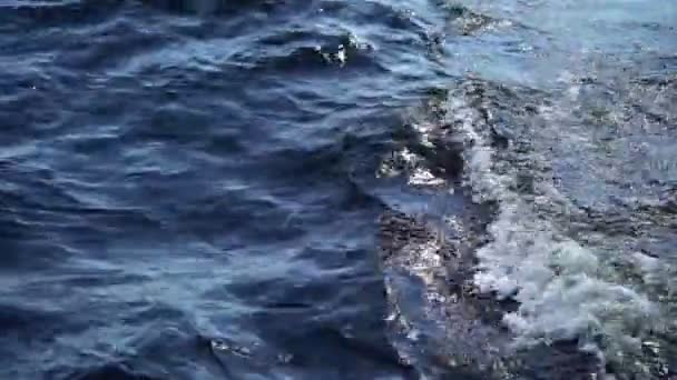 Valuri în apă — Videoclip de stoc
