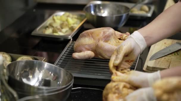 Cocinar pollo en la cocina — Vídeo de stock