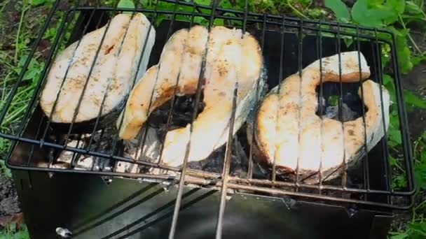 Cooking fish on grill — Stock Footage Cooking fish on grill Royalty Free Stock Video