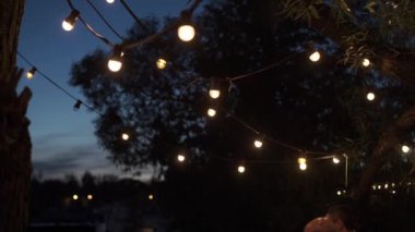 Bir ağaçlarda lamba çelenk