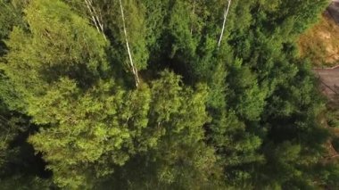 düğün töreni dekorasyon