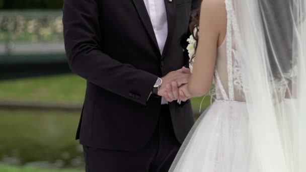 Bride and groom holding hands — Stock Video