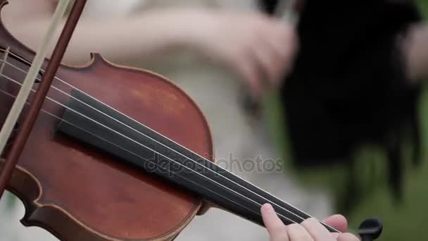 Женщина играет на скрипке — стоковое видео