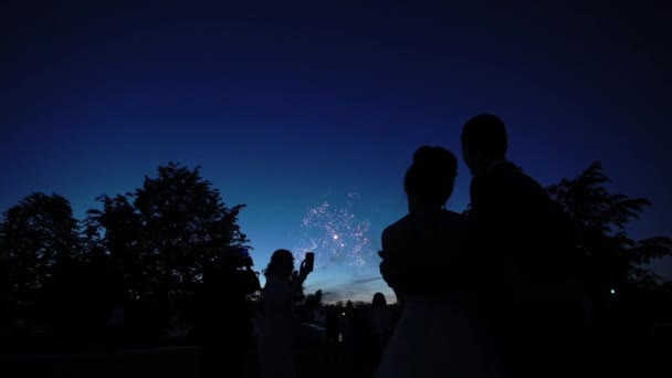 People watching firework — Stock Video